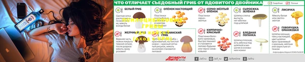 амфетамин Надым