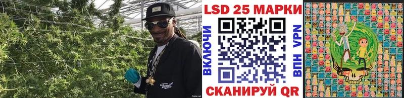 Марки 25I-NBOMe 1500мкг  Щучье 